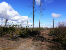 IMG 20200321 104714.jpg