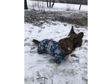 ����������� viber 2020-03-15 14-18-55.jpg