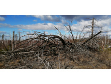 IMG 20200321 105549.jpg