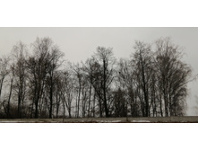 IMG 20200307 100432.jpg