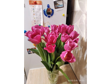 IMG 20200306 192106.jpg