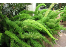 ��������� ������