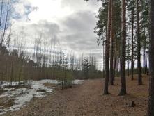 IMG 20200309 132608.jpg