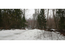 IMG 20200308 104406.jpg