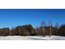 IMG 20200301 102300.jpg