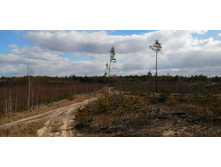 IMG 20200322 110246.jpg