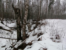 IMG 20200308 102848.jpg