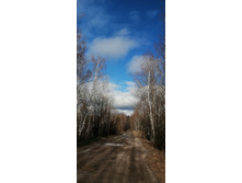 IMG 20200321 091548.jpg