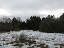 IMG 20200309 113031.jpg