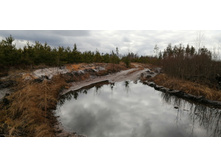 IMG 20200314 120930.jpg