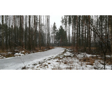 IMG 20200308 101222.jpg