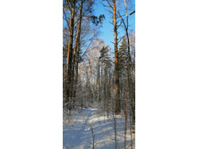 IMG 20200301 094537.jpg