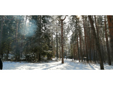 IMG 20200301 125008.jpg