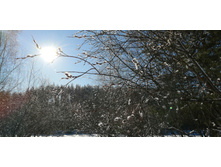 IMG 20200301 103614.jpg