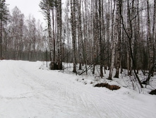 IMG 20200308 102911.jpg