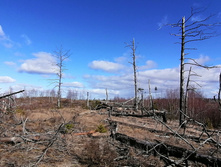 IMG 20200321 105521.jpg