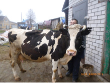 ������ �����