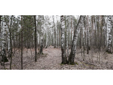 IMG 20200321 095202.jpg