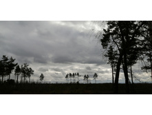 IMG 20200314 114935.jpg