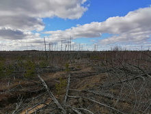 IMG 20200321 113859.jpg