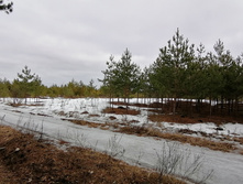 IMG 20200309 125929.jpg