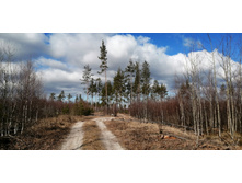 IMG 20200321 104459.jpg