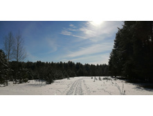 IMG 20200301 121326.jpg