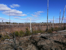 IMG 20200321 114723.jpg