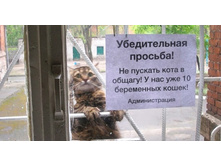 �� �������� ����� ���� � ������! � ��� ��� 10 ���������� �����!