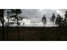 IMG 20200314 114820.jpg