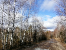 IMG 20200321 091645.jpg