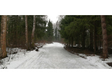 IMG 20200308 110644.jpg