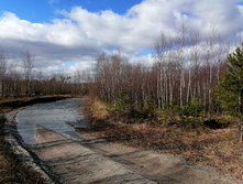 IMG 20200321 104229.jpg