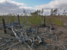 IMG 20200321 103507.jpg