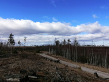 IMG 20200321 103311.jpg