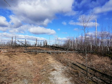 IMG 20200321 110430.jpg