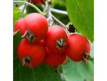 ���������  �2 190�