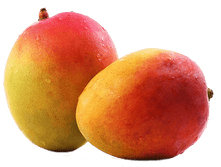 Mango PNG9165.png