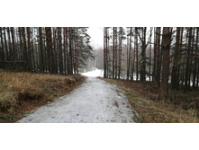 IMG 20200308 101526.jpg