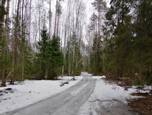 IMG 20200307 113504.jpg