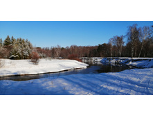 IMG 20200301 101018.jpg