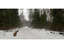 IMG 20200308 110925.jpg