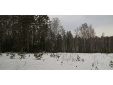 IMG 20200307 111831.jpg