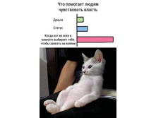 ���� �� �������