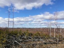 IMG 20200321 111854.jpg