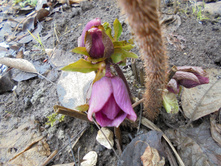 �������� 14 �����