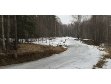 IMG 20200308 101944.jpg