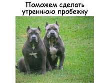 ������� ������� �������� ��������