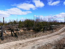 IMG 20200321 121408.jpg