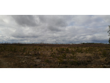 IMG 20200314 122318.jpg